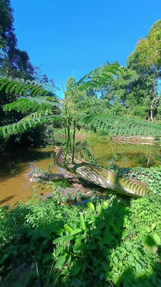 Trilha de Castelhanos — imagem 3